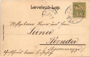 1905 Budapest I. Döbrentei tér, Tabán, Szent Gellért szobor, piac, Café Erzsébet híd kávéház, Steinf...