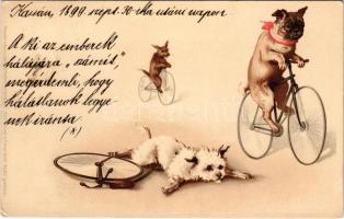 1899 (Vorläufer) Kerékpározó kutyák / Dogs on bicycles. Meissner & Buch Postkarten Serie 1042. Katz und Hund in frohem Bund litho