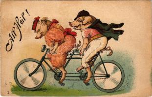 All Heil! / Kerékpározó malacok / Pigs on bicycles. litho (EK)