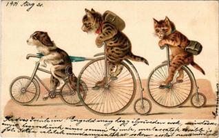 1901 Kerékpározó kutya és macskák - dombornyomott / Cats and dog on bicycles. Embossed litho (EK)