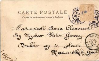 1905 Kerékpározó malac / Pig on bicycle. litho (ázott / wet damage)