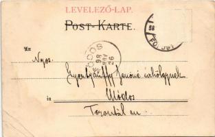 1898 (Vorläufer) Kerékpáros művészlap. Farb. Radfähr-Karte No. 10. v. L. Schaller, Kanitz C. és fiai...