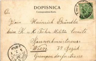 1901 Zenica, street view, folklore. Verlag Hermann Liebling (fl)