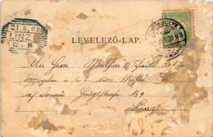 1902 Nagykikinda, Kikinda; Ferenc József tér, Állami polgári leányiskola, Radák üzlete és saját kiad...