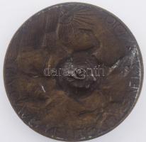 Szamosi Soós Vilmos (1885-1972) 1919. "Magyar Nemzeti Szövetség" irredenta szervezet bronz...