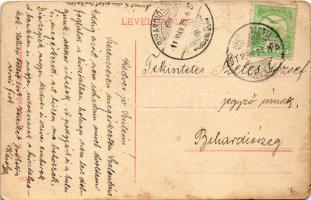 1911 Nagyszalonta, Salonta; látkép, városháza, piac, üzletek. W.L. Bp. 6542. Döme Károly kiadása / g...