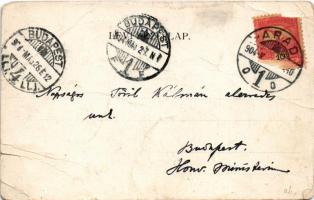 1904 Világos, Siria; várrom, fő utca. Weber J. kiadása / castle ruins, main street. Art Nouveau, flo...