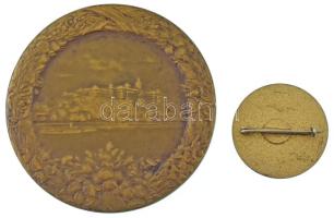 Vastagh Éva (1900-1942) 1935. "IX. Nemzetközi Dermatológiai Kongresszus Budapest" bronz pl...