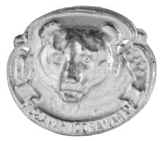 DN "Máramarosi Havasok" medvefejet ábrázoló fém botjelvény (37x32mm) T:XF