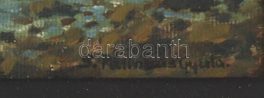 S. Pálinkás Gyula (XX. sz. első fele): Vízparti táj. Olaj, vászon, kartonon. Jelzett. Dekoratív, sér...