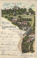 Dresden-Loschwitz with funicular and Café Restaurant Luisenhof litho (fa)