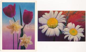 50 db MODERN postatiszta üdvözlő motívum képeslap