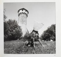 Révész Tamás: Budapest. Az előszót és a képaláírásokat írta: Bächer Iván. Bp., 2003, Herald. Magyar,...