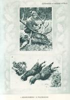 Erdély északi része és a Székelyföld.
Budapest, [1941]. Országos Magyar Idegenforgalmi Hivatal (Pal...