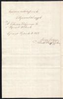 1852 Székesfehérvár, a város polgármesteréhez és képviselőihez benyújtott folyamodvány, másfél beírt...