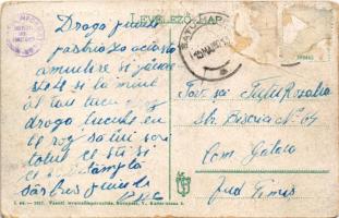 Erdőd, Károlyierdőd, Ardud (Szatmár); Erdődi vár. Vasúti levelezőlapárusítás 1. 1917. / Cetatea Ardu...