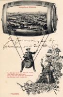 Pilsen Bürgerliches Bräuhaus