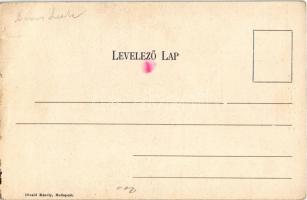 1848-49-es forradalom és szabadságharc, Kossuth Lajos. Divald Károly kiadása / Hungarian Revolution ...