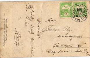 IV. Károly király. Kallós Oszkár udvari fényképész kiadása Budapest 1916. / Charles I of Austria + &...