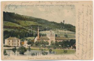 1902 Hanusovice, Hannsdorf; Brauerei Hannsdorf-Halbseit / brewery, beer factory in Holba (wet damage)