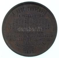 1882. "Dr. Kubinszky Mihály, felszentelt Knini püspök, Kalocsai Olvasó Kanonok 1824-1881" ...