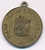 1896. "Az ezredév emlékére - 896-1896 / Makó Város Képviselete" bronz érem füllel (29mm) T...
