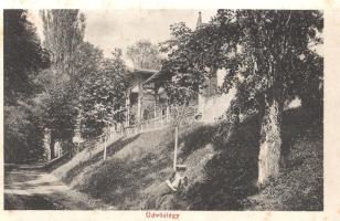 Szliácsi emlék. [Leporellófüzet a Zólyom melletti Sliácsfürdőről.]
Miskolc-Szliács, [1900 körül]. K...