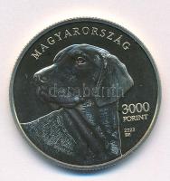2023. 3000Ft Cu-Ni-Zn "Erdélyi kopó" kapszulában, színes MNB tájékoztatóval T:P