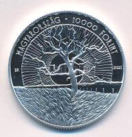 2021. 10.000Ft Ag "Pilinszky János" kapszulában, tanúsítvánnyal, színes MNB tájékoztatóval...