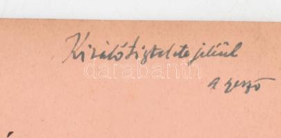 Goldzicher Károly: Vizsgálatok a rokkantsági statistika köréből. DEDIKÁLT. Bp., 1914., Pesti Könyvny...