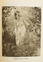 Nemzeti Képzőművészeti Kiállítás Képes Tárgymutatója. Bp., 1933, Országos Magyar Képzőművészeti Társ...