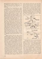 A magyar gyalogság. A magyar gyalogos katona története. Szerkesztette vitéz Doromby József és Reé Lá...