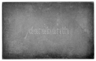 Franges-Mihanovic Róbert (1872-1940) 1907. "Európa" jelzett Ag plakett, Éremkedvelők Egyes...