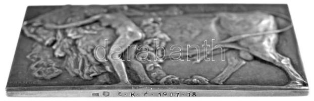 Franges-Mihanovic Róbert (1872-1940) 1907. "Európa" jelzett Ag plakett, Éremkedvelők Egyes...