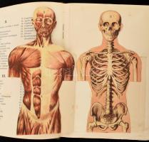 Báró dr. Kétly László: A család egészsége. Népszerű orvosi tájékoztató és tanácsadó. Bp., é.n. (1928...