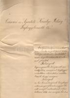 1908 Katonatiszt kérvénye Ferenc Józsefhez címezve + kivonat hadbírósági itéletből