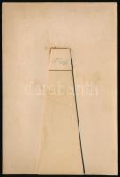 cca 1900 "Die besten Glückwünsche", régi plasztron üdvözlő kártya, 15x10 cm