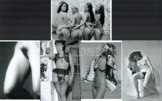 Eltérő időben készült, szolidan erotikus aktfelvételek, 13 db modern nagyítás, jelzés nélkül, 15x10 ...