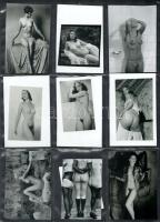 Eltérő időben készült, szolidan erotikus aktfelvételek, 18 db nézőkép - mai nagyításban, jelzés nélk...