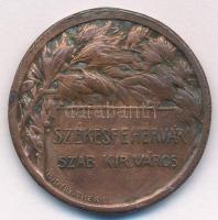 ~1930. &quot;Székesfehérvár Szab. Kir. Város / In Maemoriam Pro Patria Mortuorum&quot; bronz emlékérem &quot;Ludvig Thék u.&quot; (36mm) T:XF