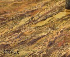 Stéhlik János (1942-2021): Eső után, 1985. Olaj, farost, jelzett. Hátoldalán autográf felirattal és ...