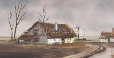 Reinhardt István (1936-): Tanya VI. Olaj, farost, jelzett, hátoldalán Képcsarnok Vállalat címkéjével...