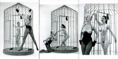 cca 1961 ,,A vágyak rabságában", szolidan erotikus felvételek, 5 db modern nagyítás, jelzés nél...