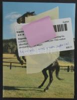 LOVAK - 43 db főleg RÉGI motívum képeslap kis albumban / HORSES - 43 mostly pre-1945 motive postcard...