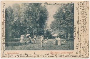 1902 Dömsöd, Sziget részlet. Wiesel Izrael kiadása (lyukak / pinholes)