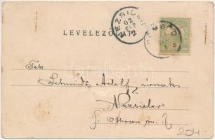 1902 Dömsöd, Sziget részlet. Wiesel Izrael kiadása (lyukak / pinholes)