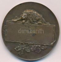 1928. "Dr. hámori Bíró Pál Vándordíj - Ózd 1928 - III. díj" kétoldalas bronz díjérem (49mm...