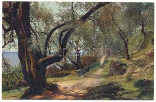 30 db főleg RÉGI képeslap vegyes minőségben: fák / 30 mostly pre-1945 postcards in mixed quality: tr...