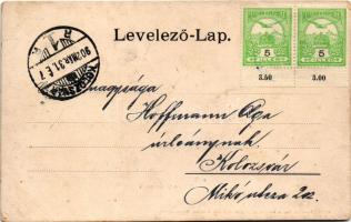 1902 Szamosújvár, Gherla; Népkerti tó részlet. Todorán Endre kiadása / park, lake (EK)