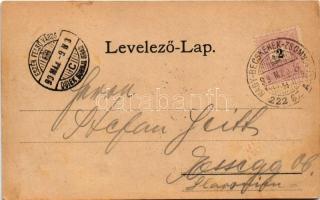 1899 (Vorläufer) Módos, Jasa Tomic; Központi szálloda, híd, emlékmű. Mattanovich T. kiadása / hotel,...